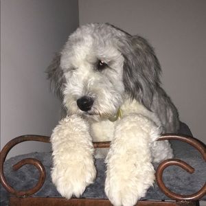 Meet your Posher, Blon